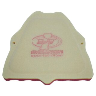Dt-1 Racing Yamaha EVO-180-19NO air filter